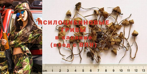 твердый Баксан