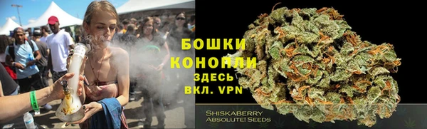прущие крисы Балахна