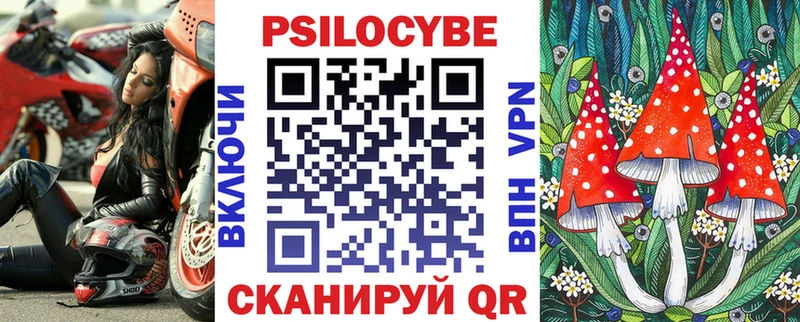 закладка  кракен маркетплейс  Псилоцибиновые грибы Psilocybe  Астрахань 
