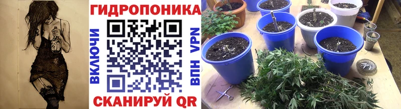 Конопля VHQ  Астрахань 
